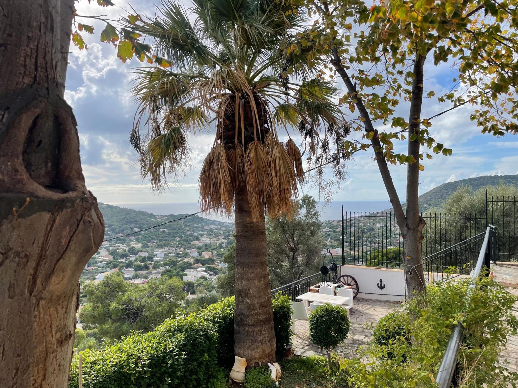 Eagles Nest Villa Athenian Riviera In Aghia Marina Near Lagonisi, Next To The Beach Close To Athens Airport Agia Marina  Exteriér fotografie